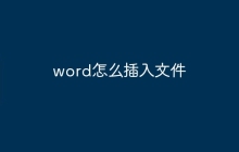 word怎么插入文件
