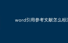 word引用参考文献怎么标注
