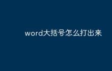 word大括号怎么打出来
