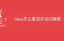 idea怎么看项目访问路径