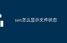 svn怎么显示文件状态