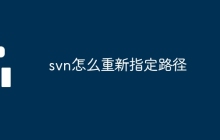 svn怎么重新指定路径