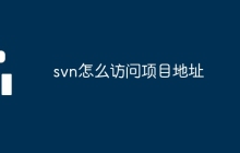 svn怎么访问项目地址