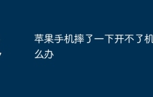 苹果手机摔了一下开不了机怎么办