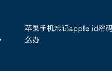 苹果手机忘记apple id密码怎么办
