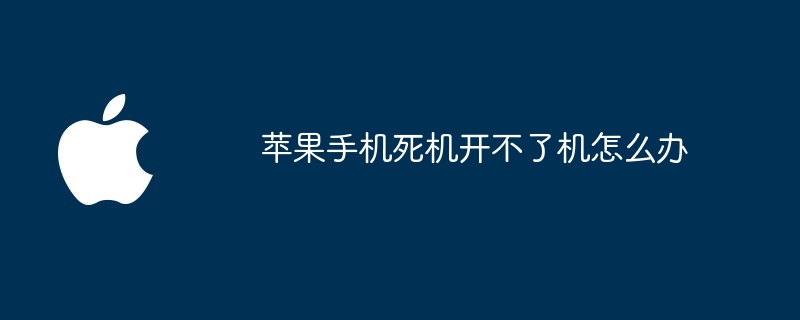 苹果手机死机开不了机怎么办