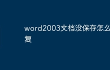 word2003文档没保存怎么恢复