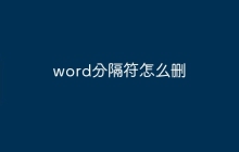word分隔符怎么删