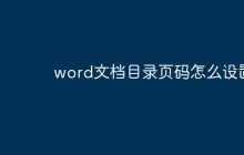 word文档目录页码怎么设置