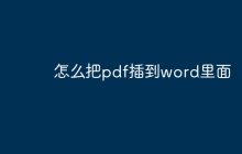 怎么把pdf插到word里面