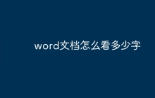 word文档怎么看多少字