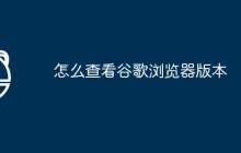 怎么查看谷歌浏览器版本