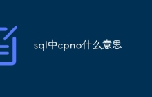 sql中cpno什么意思