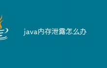 java内存泄露怎么办