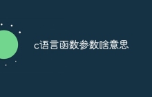 c语言函数参数啥意思