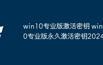 win10 Professional Edition Activation Key win10 Professional Edition Permanent Activation Key 2024