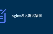nginx怎么测试漏洞