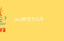 java断言怎么用
