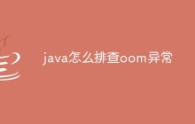 java怎么排查oom异常