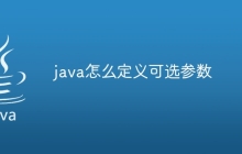 java怎么定义可选参数