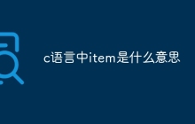 c语言中item是什么意思