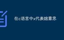 在c语言中x代表啥意思