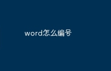 word怎么编号