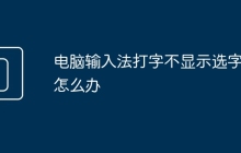 电脑输入法打字不显示选字框怎么办