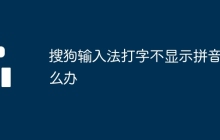 搜狗輸入法打字不顯示拼音怎么辦