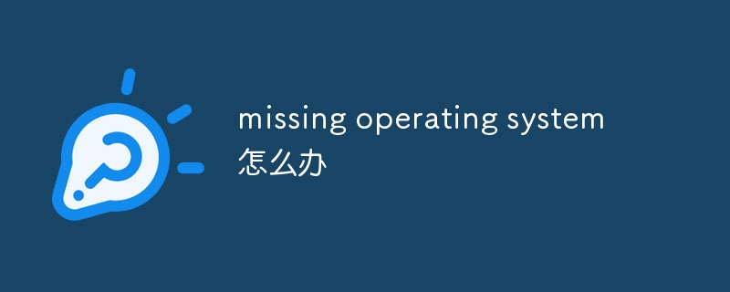 missing operating system怎么办