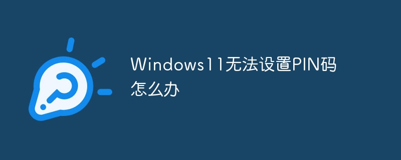 Windows11无法设置PIN码怎么办