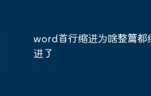 word首行缩进为啥整篇都缩进了