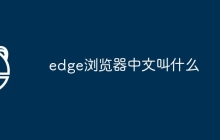 edge浏览器中文叫什么