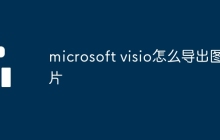 microsoft visio怎么導(dǎo)出圖片