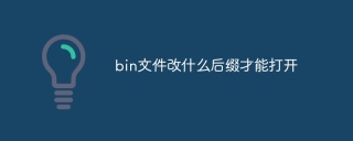bin文件改什么后缀才能打开