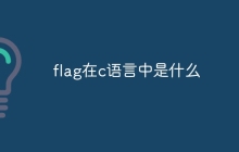 flag在c语言中是什么
