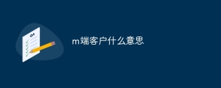 m端客户什么意思