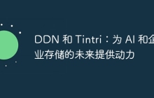 DDN 和 Tintri:为 AI 和企业存储的未来提供动力