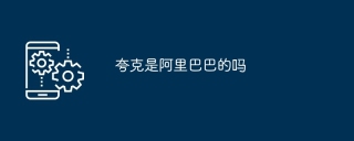 夸克是阿里巴巴的吗