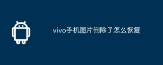 vivo手机图片删除了怎么恢复