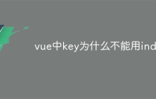 vue中key为什么不能用index