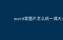 word里图片怎么统一调大小