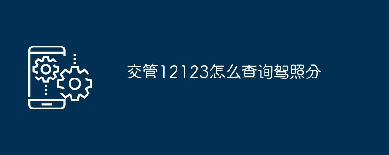 交管12123怎么查询驾照分