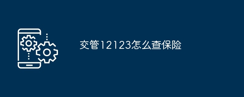 交管12123怎么查保险
