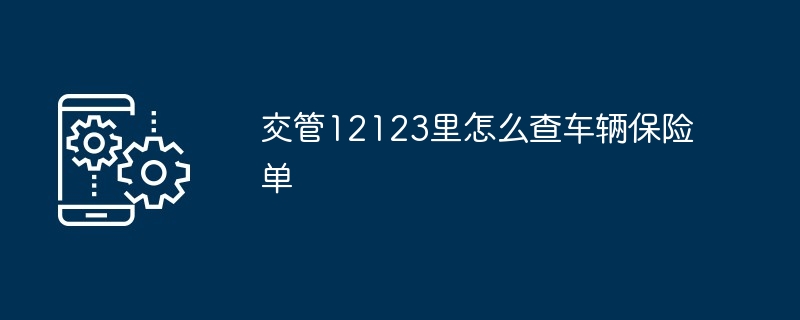 交管12123里怎么查车辆保险单