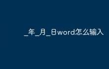 _年_月_日word怎么输入