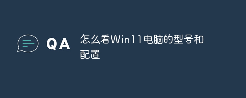 怎么看Win11电脑的型号和配置
