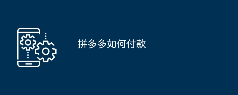 拼多多如何付款