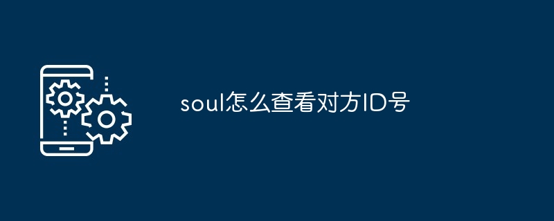 soul怎么查看对方ID号