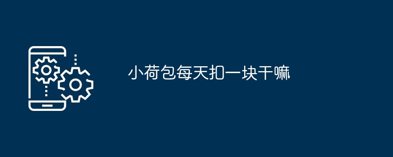 小荷包每天扣一块干嘛